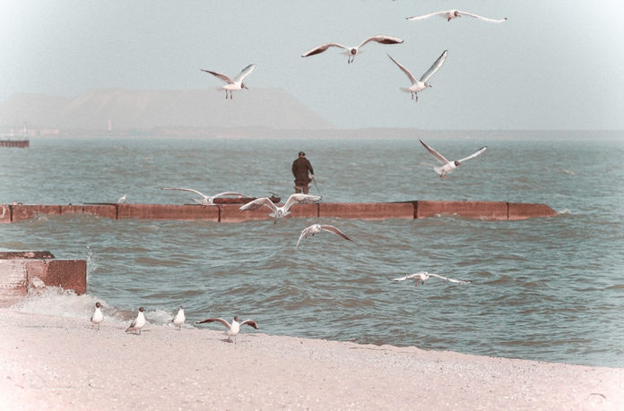 прогулка на море