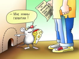 Как получить дополнительный доход сидя дома